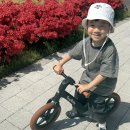 5세 어린이날 선물 추천 밸런스바이크 유아자전거 티니롤리 후기