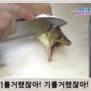 마흔여덟