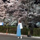 오투크린 네이버블로그