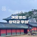 설경 | 창덕궁 후원 예약 관람시간 현장예매 설경 후기