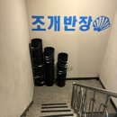 조개반장 이미지