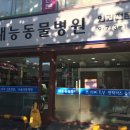 태능동물병원 이미지