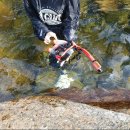 맑은물펜션 이미지