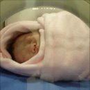 11500-15-13-03 이미지