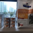 다호동물병원 이미지