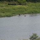 현4리 마을회관 이미지