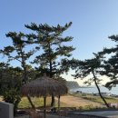 스테이인터뷰파도리 | 태안 파도리여행)15개월 아기랑 1박2일 | 바다앞숙소 스테이인터뷰 파도리 B4 솔직후기