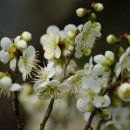 마로니에 하우스 이미지