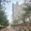 DOG깨비 강아지 미용실 | 경산 압량 신대리 강아지 미용 잘하는곳 "개털장수"