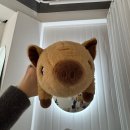 한천로150길 | 수유왁싱 심 뷰티&amp;왁싱 안아픈 브라질리언후기(눈썹정리+이어테라피)