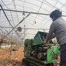 해찬농장 이미지