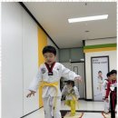 엠티에이태권도 네이버블로그