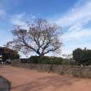 성읍2리마을회관 이미지