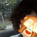 신선미용실 - 사하구 신산북로43번길 52 | 살펴본 의정부미용실 서비스 흐름 후기