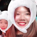 오션97