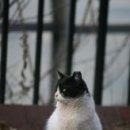 서대문자연사박물관(3월~10월) 이미지