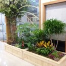 남양주나무요양병원 이미지