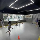 용인대지노태권스쿨 이미지