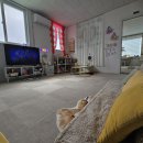 사비로100번길 이미지