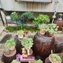 합성동290 이미지