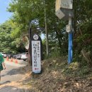 [생태체험] 맥도생태공원 - 6월 9일(일) 오전 | 🌹 대청호 장미전시회 다녀왔어요! 대전 숨은 명소, 꽃향기 가득한 힐링 장소