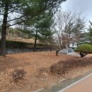 교촌치킨원호점 이미지