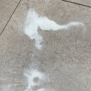 참약사천사약국 이미지