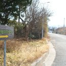 역1구경로당 네이버블로그