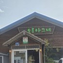 나그네 | 제주도 거문오름 맛집 오름나그네 내돈내산 강추후기