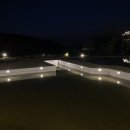 신씨어