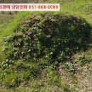 하개명마을회관 이미지