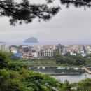 오정빈묘역 네이버블로그