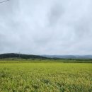 선덕여왕릉 화장실 이미지