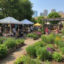 힐링마켓 이미지