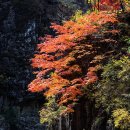 길머리 공원 이미지