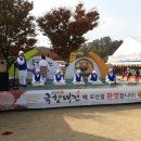 도도리 이미지