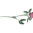 청소년수련원 3층 이미지