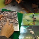 어깨동무신나는집 이미지