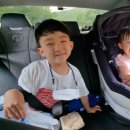 금낭화타운 이미지