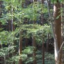 부산어린이대공원 이미지