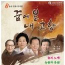 내고향 Daum카페