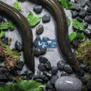 대물장어 이미지