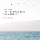 [CTS 말씀이미지] 로마서 8장 1절 #말씀이미지 #감경철 #CTS #핸드폰배경화면 이미지