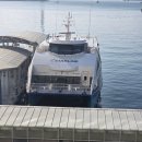 막내카 | 대마도 히카타츠 렌터카로 다녀온 단체 당일치기 여행 후기