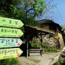 사철나무집민박