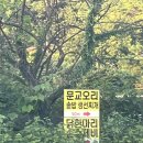 오리랜드 이미지