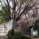 정신여자고등학교 이미지