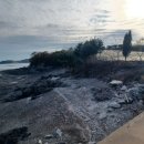 태안전력(주)
