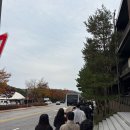 모노레일커피 | 화담숲 단풍 절정, 모노레일 없이 구경 (티켓팅 후기, 10시 입장 지각)