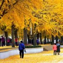 백옥세탁소 이미지